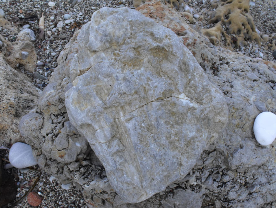 Minerale o fossile